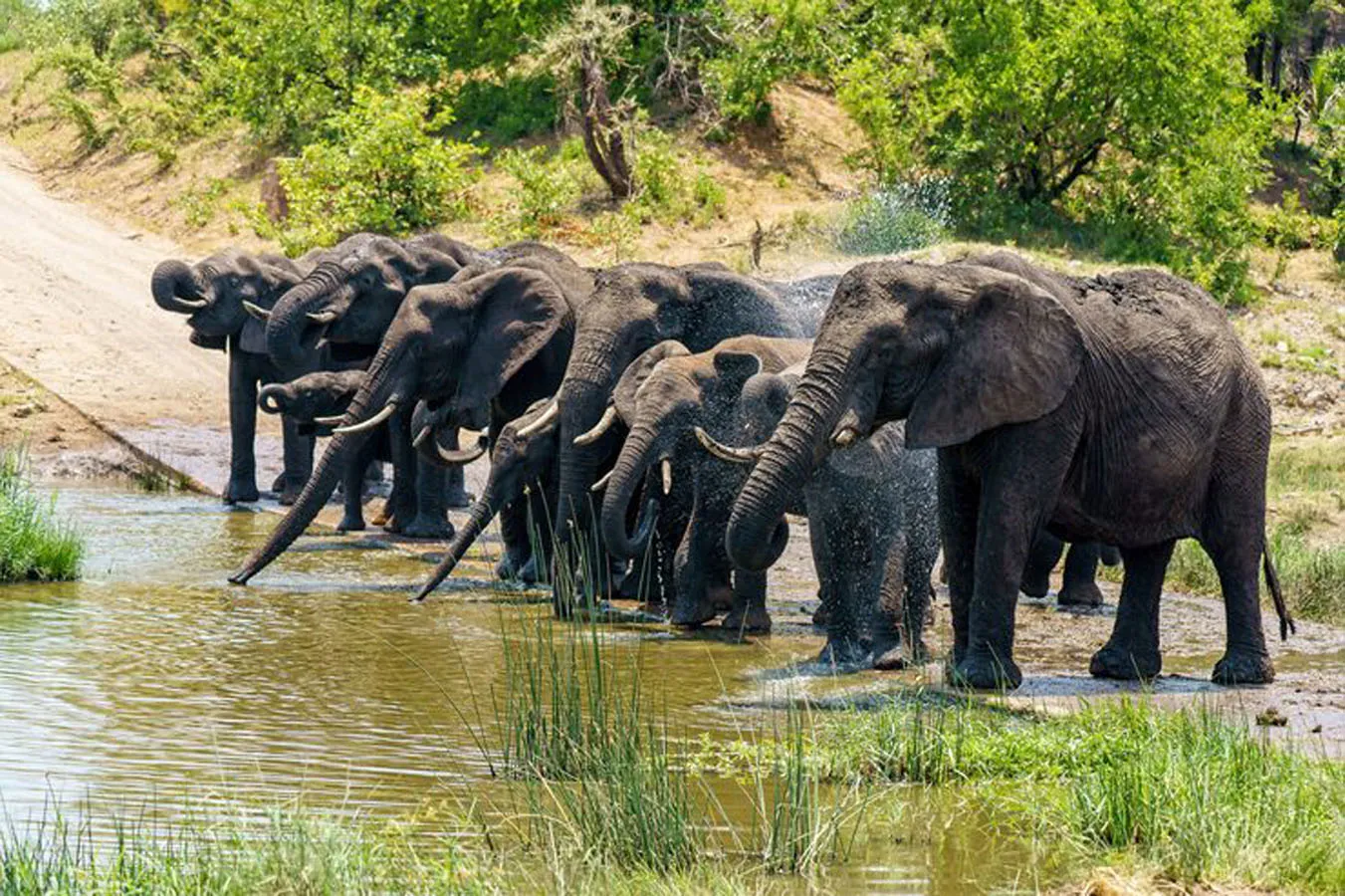  Kenya Safari Holiday – Kenya National Parks & Wildlife Adventure
